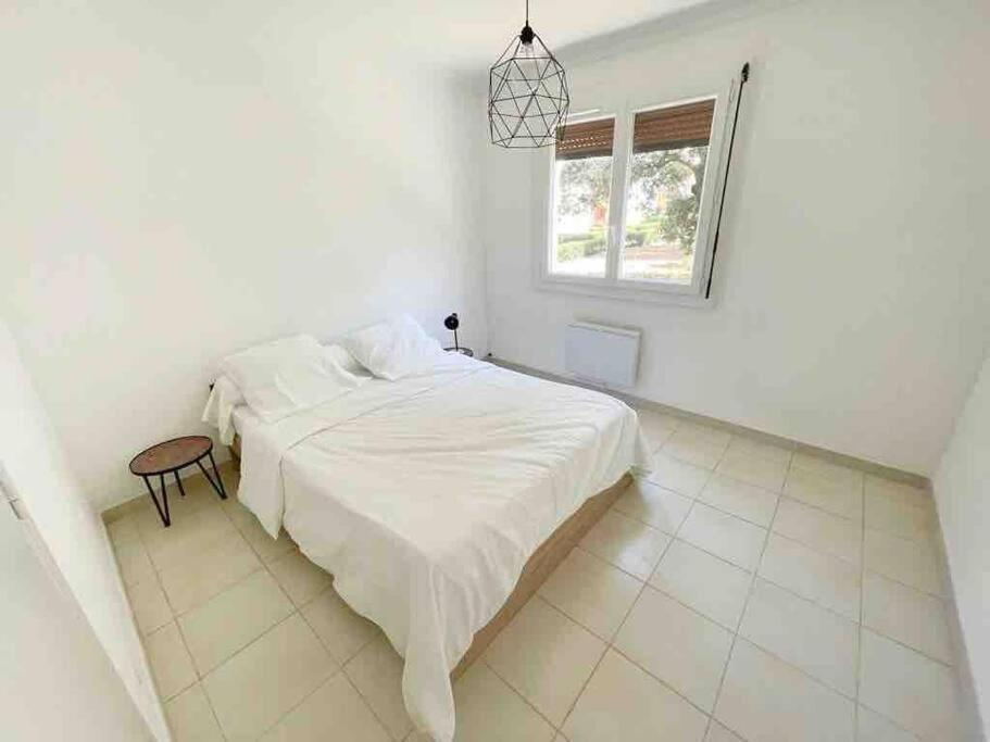 Appartement Spacieux Avec Parking Gratuit Sète Eksteriør bilde